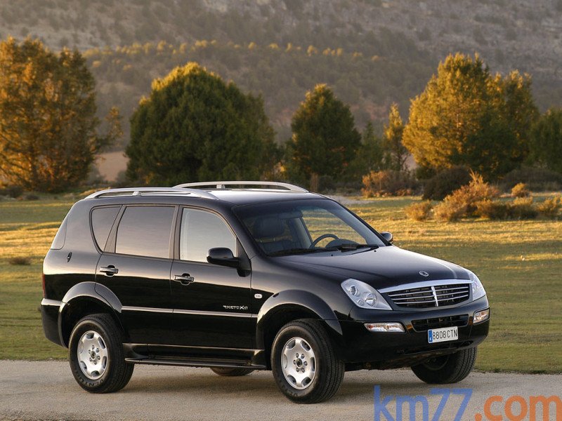 Vidrio Fijo Tras Rexton RH